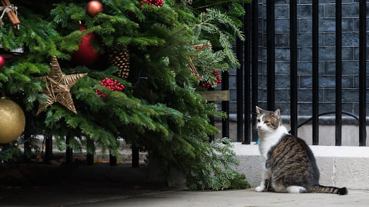 Weekly Cabinet meeting in London