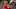 Zay Flowers, Baltimore Ravens Zay Flowers, Baltimore Ravens