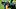 Week 6 Fantasy Football Must-Sit Tight End: Brenton Strange, Jacksonville Jaguars Week 6 Fantasy Football Must-Sit Tight End: Brenton Strange, Jacksonville Jaguars