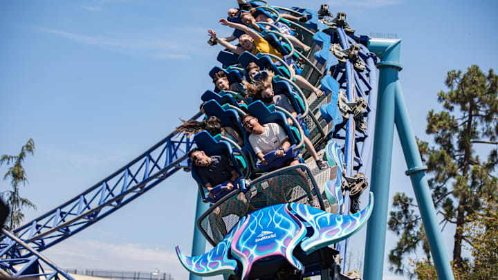 A Look Inside SeaWorld San Diego