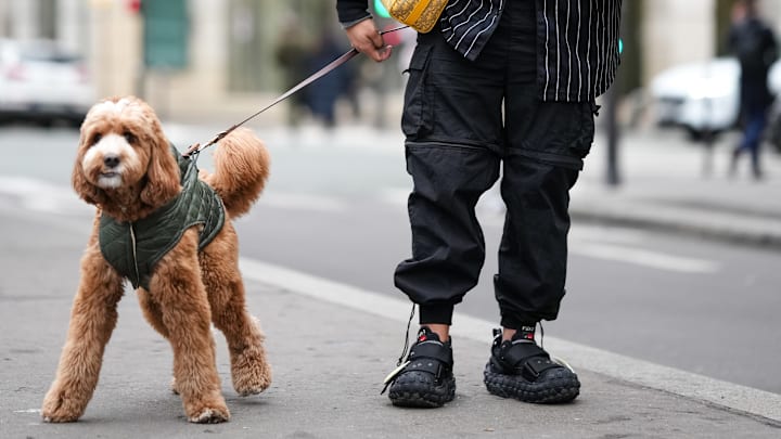 Street Style - Paris Fashion Week - Haute Couture Spring/Summer 2024 - Day Four