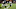 Demarquis Gates, Chicago Bears Demarquis Gates, Chicago Bears