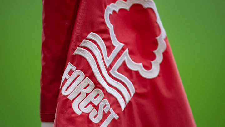 Nottingham Forest v Aston Villa - Premier League
