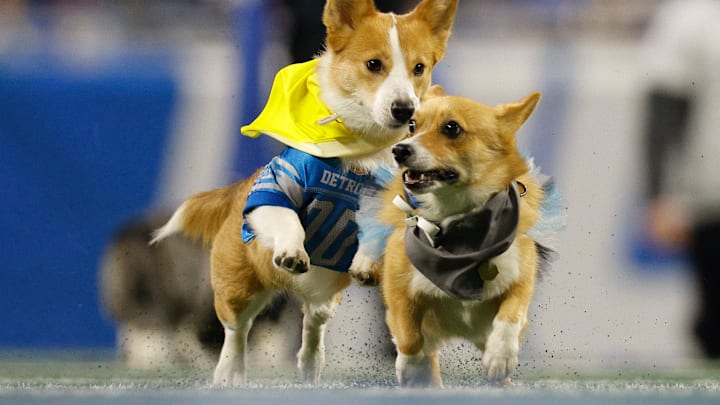 Minnesota Vikings v Detroit Lions