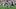 David Montgomery, Houston Texans, 2026 Fantasy Footbal