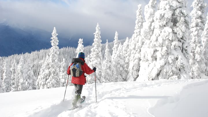 A snowshoer explores Olympic National Park’s Hurricane Ridge in winter.