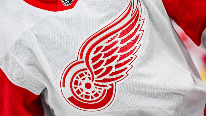 Dec 2, 2023; Montreal, Quebec, CAN; View of a Detroit Red Wings logo on a jersey worn by a member of the team during warm-up before the game against the Montreal Canadiens at Bell Centre. Mandatory Credit: David Kirouac-USA TODAY Sports