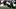 Chicago Bears running back Kyle Monangai.