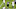 Chicago Bears, Adetomiwa Adebawore Chicago Bears, Adetomiwa Adebawore