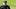 Pittsburgh Steelers head coach Mike McCarth Pittsburgh Steelers head coach Mike McCarth