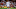 Antonee Robinson