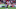 Jordan Henderson Jordan Henderson