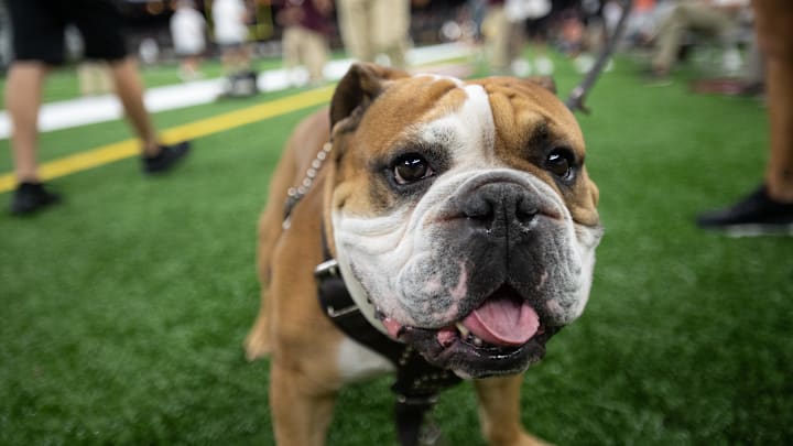 Mississippi State v Louisiana Lafayette
