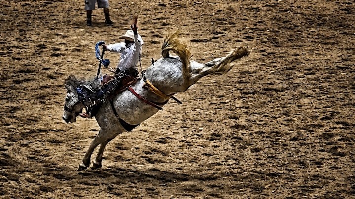Saddle bronc rider at The American West Regional finals