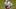 Cincinnati Bearcats quarterback Brendan Sorsby