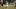 West Boca Raton's Trey Moran is the driving force behind this 47 yard touchdown with plenty of obstacles during a 31-14 win a West Boca Raton's Trey Moran is the driving force behind this 47 yard touchdown with plenty of obstacles during a 31-14 win a