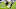 Zay Flowers, Baltimore Ravens Zay Flowers, Baltimore Ravens