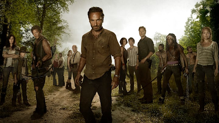 (L to R) Lori Grimes (Sarah Wayne Callies); Carl Grimes (Chandler Riggs); Daryl Dixon (Norman Reedus); Carol (Melissa Suzanne McBride); T-Dog (Robert 'IronE' Singleton); Beth Greene (Emily Kinney); Hershel Greene (Scott Wilson); Rick Grimes (Andrew Lincoln); Maggie Greene (Lauren Cohan); Glenn (Steven Yeun); The Governor (David Morrissey); Michonne (Danai Gurira) and Andrea (Laurie Holden) - The Walking Dead - Season 3, Gallery - Photo Credit: Frank Ockenfels/AMC