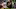 Chicago Bears, Lukas Van Ness Chicago Bears, Lukas Van Ness