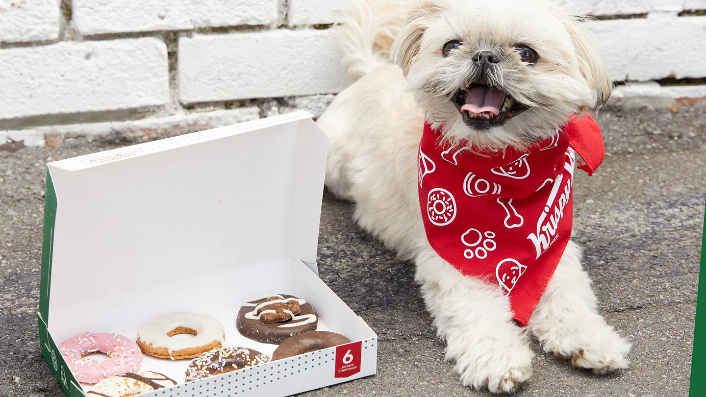 Treat Your Dog to Doughnut-Shaped Biscuits From Krispy Kreme This Weekend
