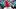Zach Neto