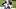 Pittsburgh Steelers wide receiver Germie Bernard fantasy Pittsburgh Steelers wide receiver Germie Bernard fantasy
