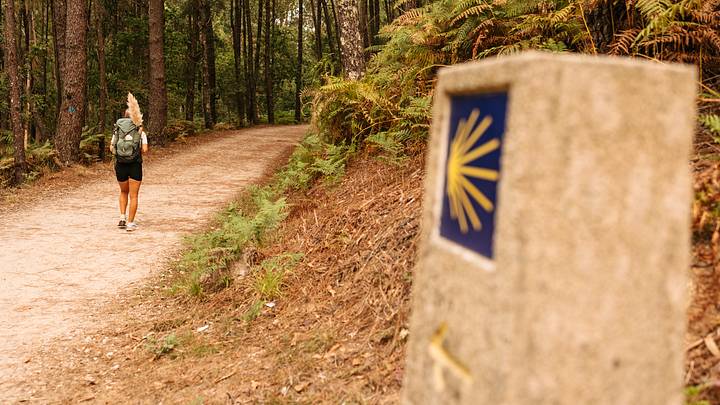 Camino de Santiago sign with pilgrim in background. Camino de Santiago sign with pilgrim in background.