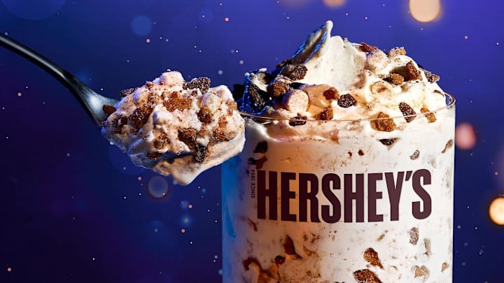 McDonald's Hershey's S'mores McFlurry