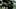 Outlander: Blood of My Blood - Season 1 2025