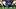Florida Gators quarterback DJ Lagway (2) gestures before the snap against the Florida State Florida Gators quarterback DJ Lagway (2) gestures before the snap against the Florida State