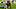 Bo Nix Bo Nix