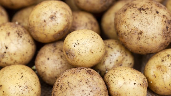 These spuds are dirty. Luckily, they‘re easy to clean.