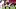 New England Patriots center Ben Brown New England Patriots center Ben Brown