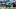 Carolina Panthers defensive end Derrick Brown (95) during pregame 