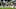 Joelinton, Gabriel, Anthony Gordon Joelinton, Gabriel, Anthony Gordon