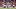 Erling Haaland Erling Haaland