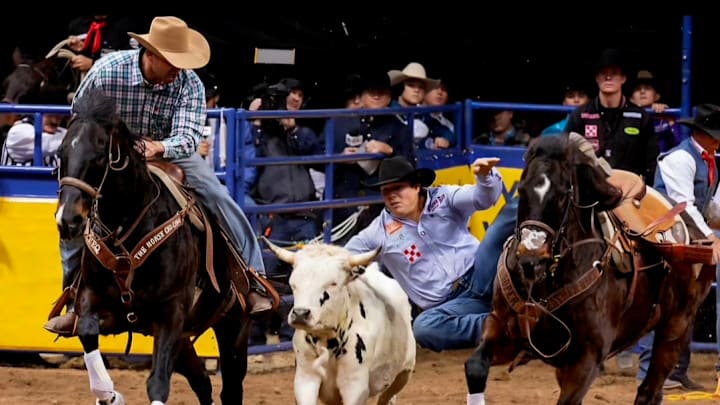 Chuck, Owned by Dirk Tavenner Chuck, Owned by Dirk Tavenner