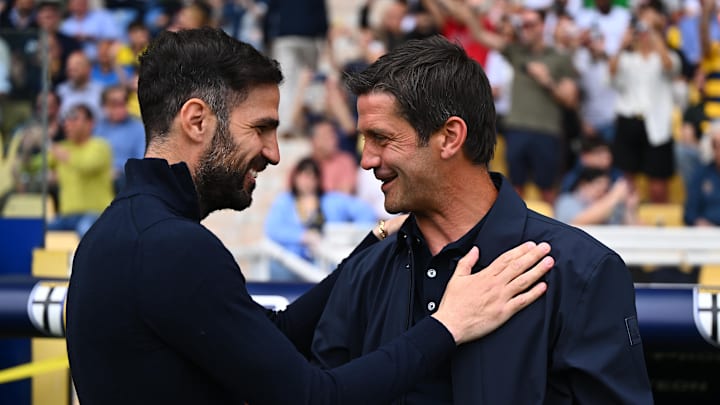 Cesc Fabregas, Cristian Chivu