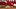St. Louis Cardinals shortstop Masyn Winn St. Louis Cardinals shortstop Masyn Winn