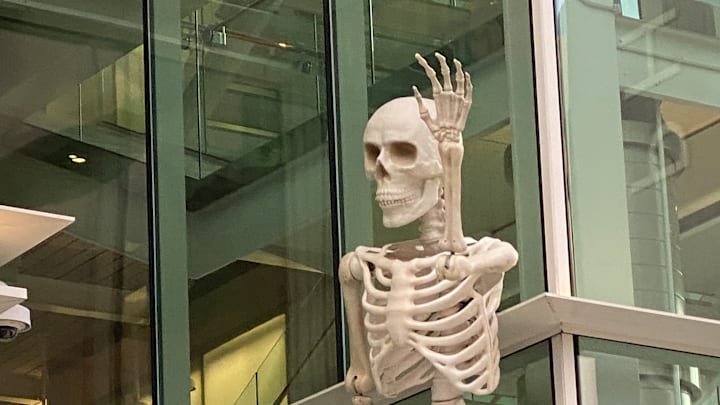 Skeletons hang around Dr Phillips Center