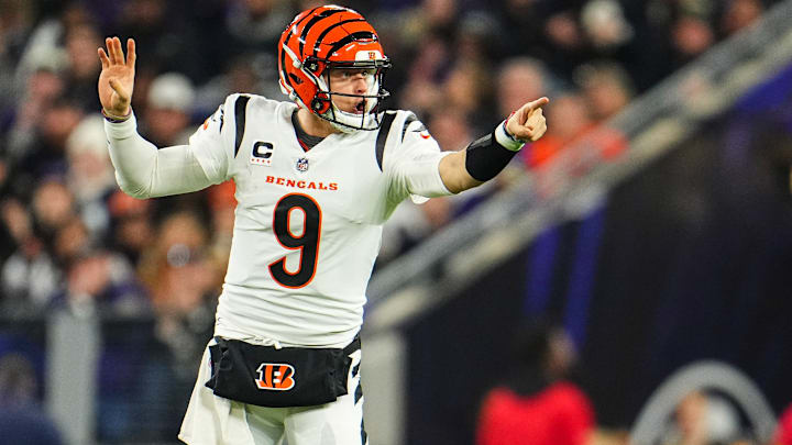 Cincinnati Bengals v Baltimore Ravens