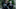 DARYLDIXON_300_MFV_0825_0087-RT DARYLDIXON_300_MFV_0825_0087-RT