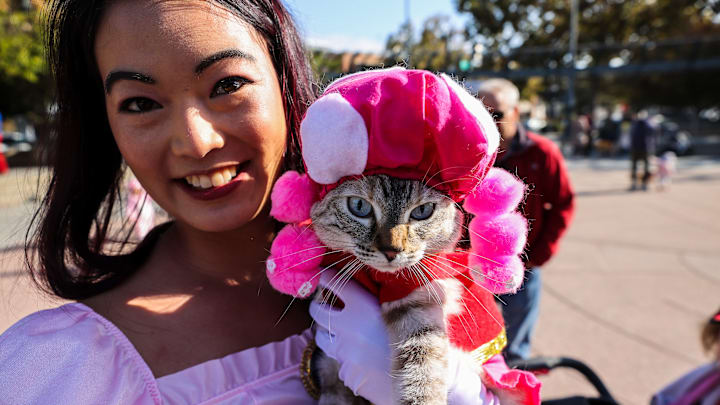 Sunnyvale Halloween Pet Parade