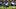 Colston Loveland running with the ball Colston Loveland running with the ball