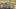 AllDead_Unit_05_35078