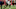 Carolina Panthers Carolina Panthers