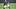 Milwaukee Brewers infield prospect Luis Pena Milwaukee Brewers infield prospect Luis Pena