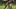 Oct 25, 2025; Miami Gardens, Florida, USA; Miami Hurricanes wide receiver CJ Daniels (7) catches the football for a touchdown Oct 25, 2025; Miami Gardens, Florida, USA; Miami Hurricanes wide receiver CJ Daniels (7) catches the football for a touchdown
