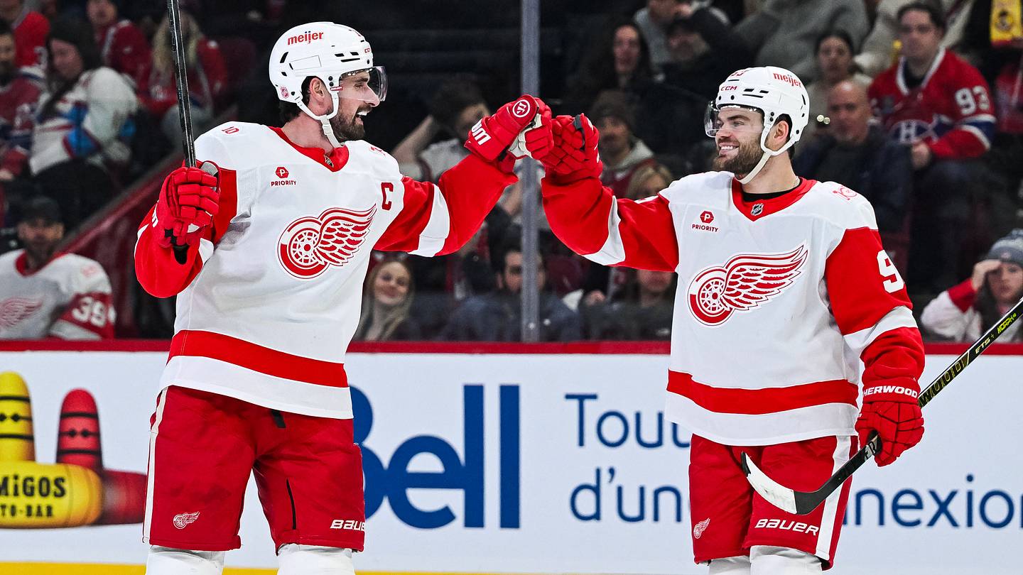 Dylan Larkin isn't the only player whose future in Detroit hinges on new GM hire