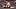 Bayley and Lyra Valkyria Bayley and Lyra Valkyria